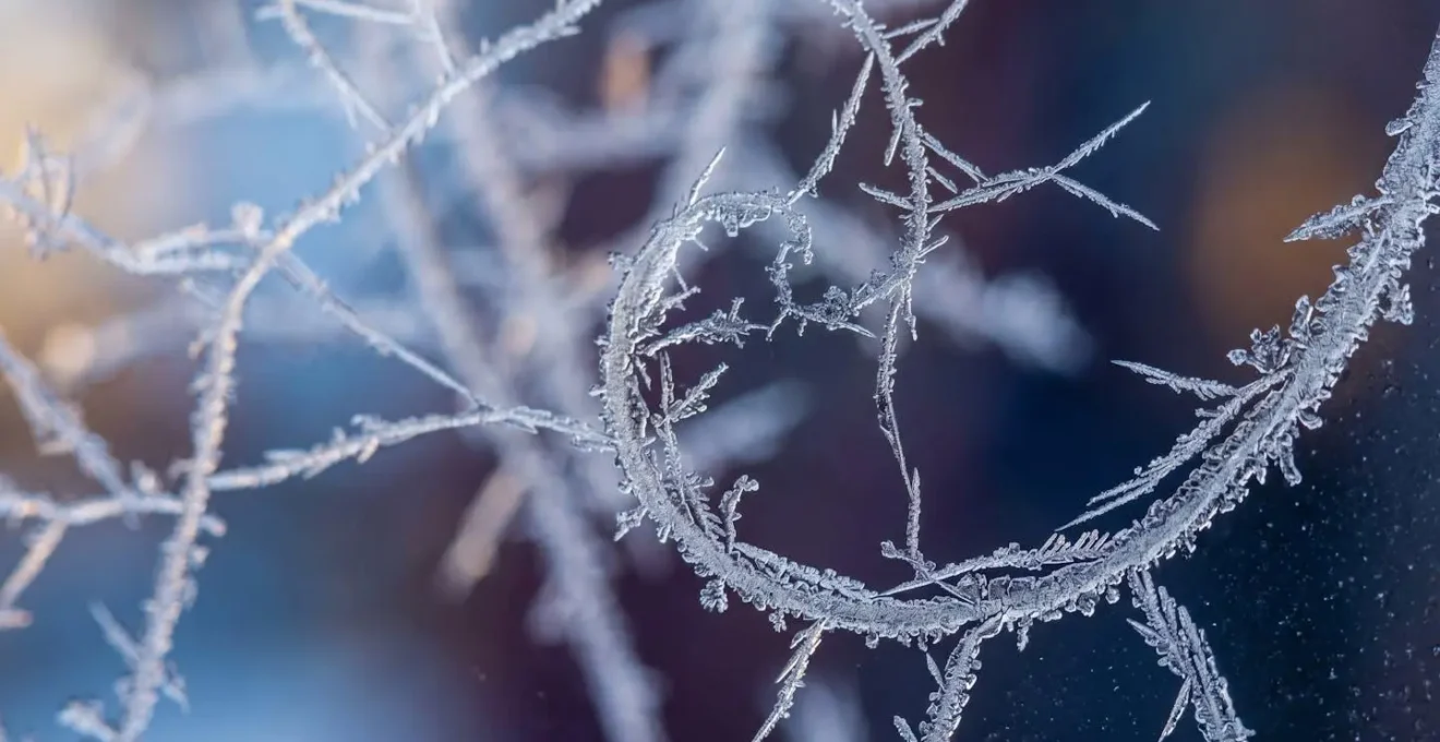 Extreme close-up of neural network patterns representing different learning pathways